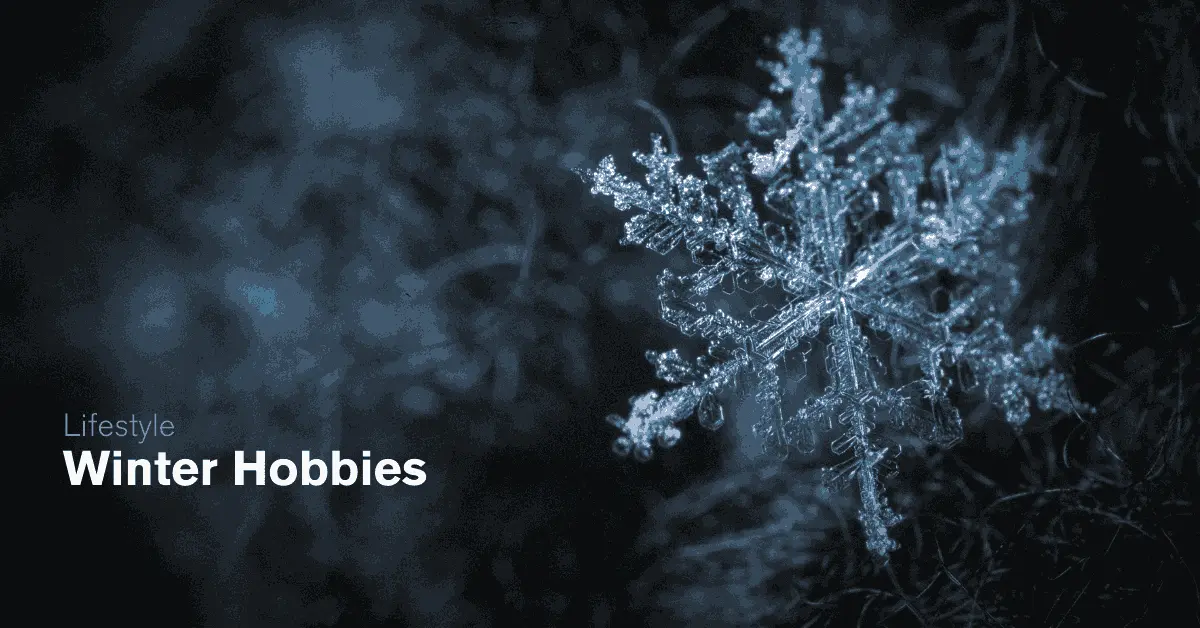 winter-hobbies